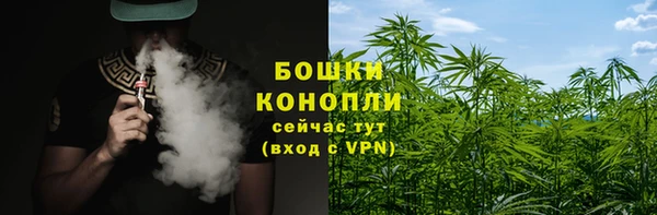 стаф Аркадак