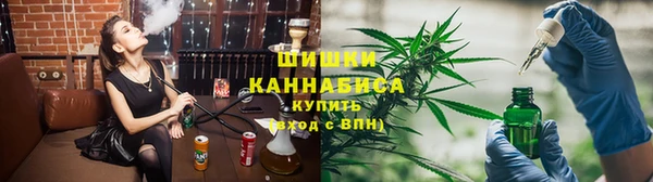 стаф Аркадак
