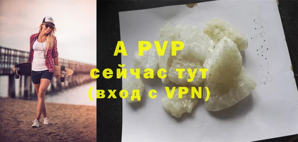 стаф Аркадак