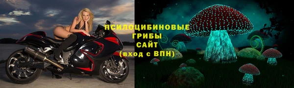 метадон Арсеньев