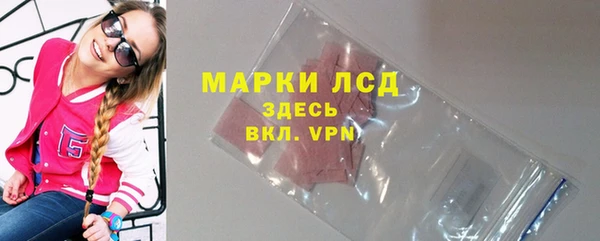 стаф Аркадак