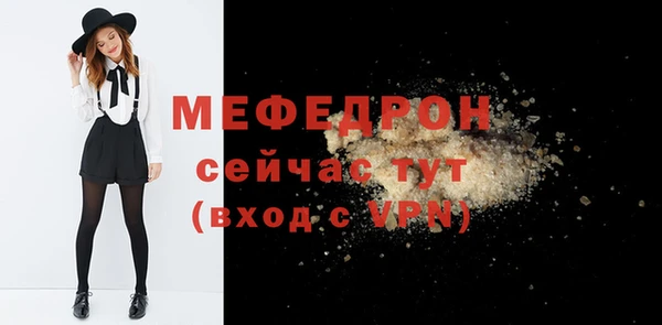 стаф Аркадак