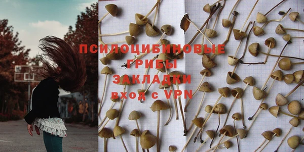 стаф Аркадак