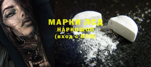 стаф Аркадак